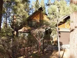 Big Bear Cool Cabins Big Bear Lake Homes