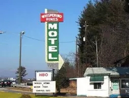 Whispering Pines Motel - Asheville