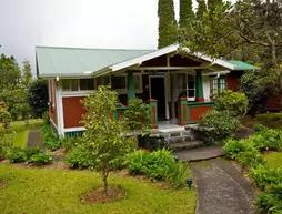 Volcano Teapot Cottage