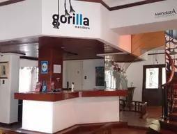 Gorilla - Hostel