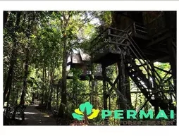 Permai Rainforest Resort