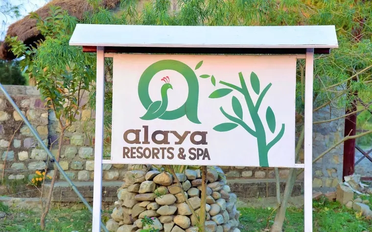 Alaya Resorts and Spa