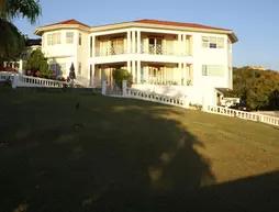 Hillside Ocean View Villa