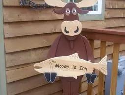 The Moose is Inn