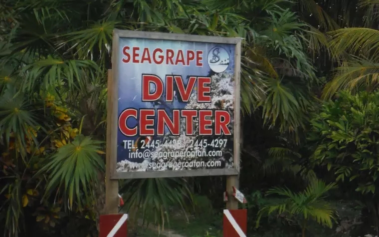 Seagrape Plantation Resort