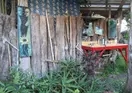 Hedonisia Hawaii Eco-Hostel Community