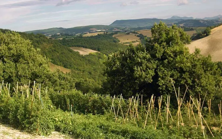 Agriturismo Pozzuolo