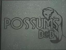 Possums Apartments