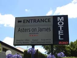 Asters on James Motor Inn