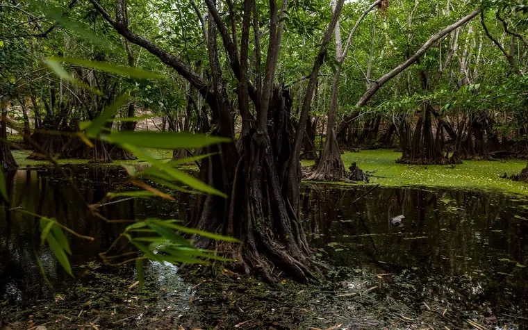 Casa Cenote Popol Vuh