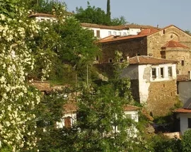 Terrace Houses Sirince - Fig, Olive and Grapevine
