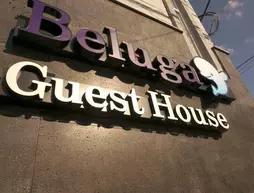 Beluga Guest House Hostel