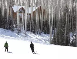 Snowdrift Cabin By Telluride Resort Lodging