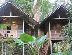 Khao Sok Evergreen House