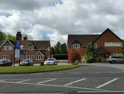 New Forest Lodge