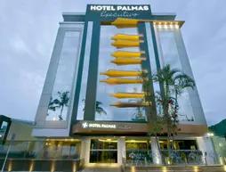 Hotel Palmas Executivo