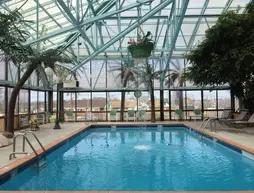 Wildwood Inn Tropical Dome and Theme Suites