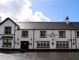 The Black Bull