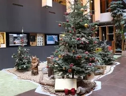 Holiday Inn Schindellegi-Zurichsee