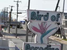 Bird of Paradise Motel