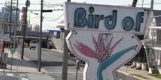 Bird of Paradise Motel