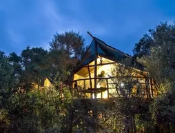 Teniqua Treetops Tented Treehouse Resort