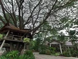 Tree House Hotel