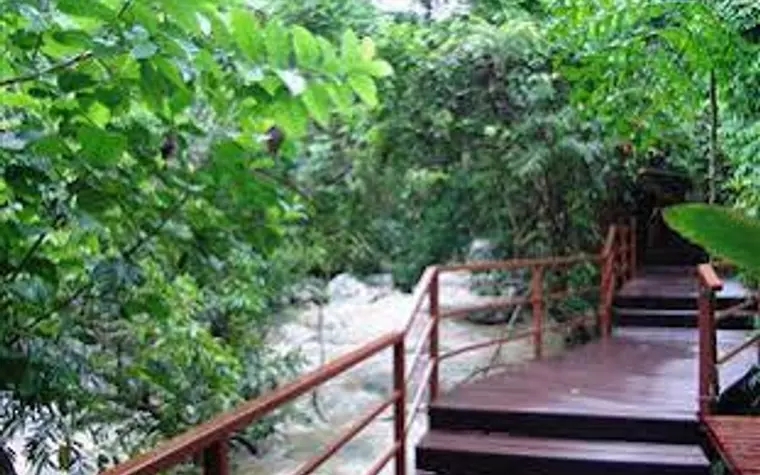 Yanoda Rainforest No.1 Hotel
