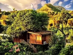 The Tree House Resort