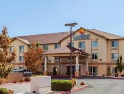 Comfort Inn & Suites Airport Reno