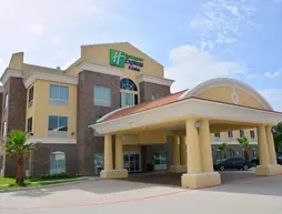Holiday Inn Express Houston Nw - Tomball Area