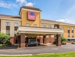 Comfort Suites Fairview Heights