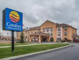 Comfort Inn & Suites Farmington