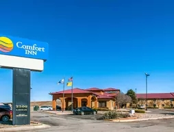 Comfort Inn Las Vegas