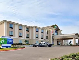 Holiday Inn Express and Suites Schulenburg
