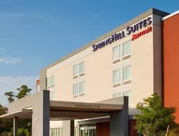 SpringHill Suites by Marriott Houston The Woodlands