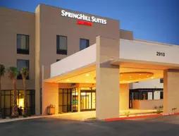 SpringHill Suites by Marriott Las Vegas North Speedway