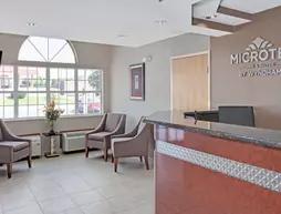 Microtel Inn by Wyndham Charleston South