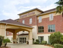 COMFORT SUITES UNIVERSITY DRIVE