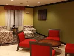Holiday Inn Express and Suites Detroit North-Troy