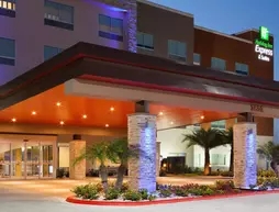 HOLIDAY INN EXPRESS & SUITES EDINBURG-MCALLEN AREA