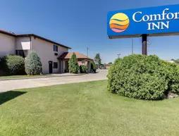 Comfort Inn Jamestown