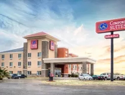 Comfort Suites Pecos