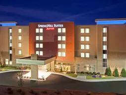 SpringHill Suites by Marriott Downtown Chattanooga/Cameron Harbor