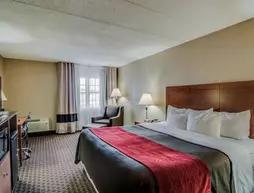 Comfort Inn & Suites Raphine