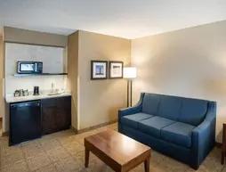 Comfort Inn West Duluth