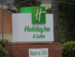 Holiday Inn Hotel & Suites Williamsburg-Historic G