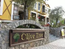 Olive Tree Studio
