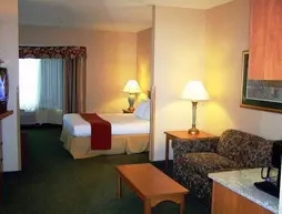 Holiday Inn Express and Suites Elk Grove East