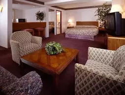 Holiday Inn Select Peachtree Corner